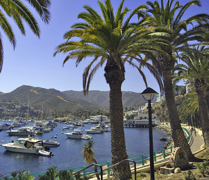 Catalina Island: A Pacific Playground