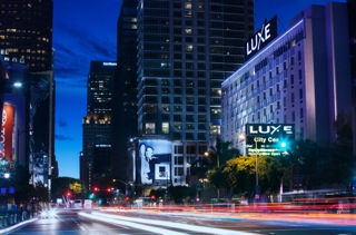 Lakers Basketball and Four-Legged Friends at Luxe City Center Hotel