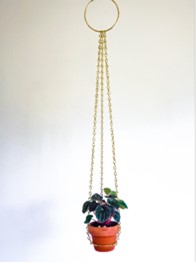 Brass Chain Plant Hangers 1 credit Hastings House of Design