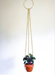 Plant Hanger